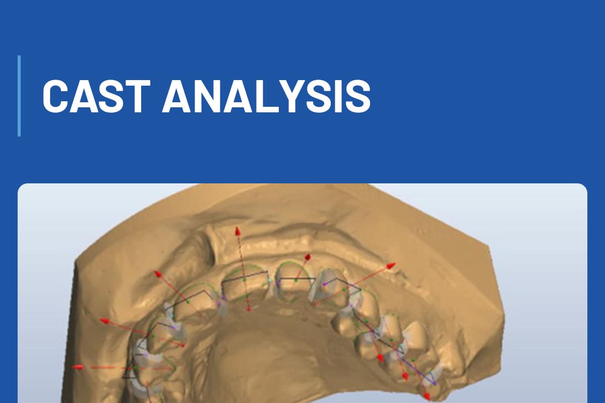 Cast Analysis + Workshop